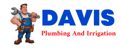 Trusted plumber in DORMANSVILLE